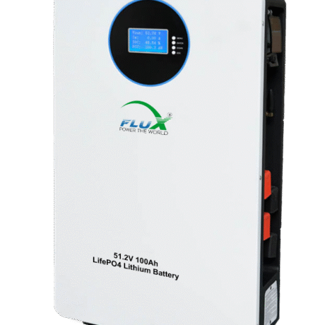 51.2V 100Ah LiFePO₄ Lithium Batteries