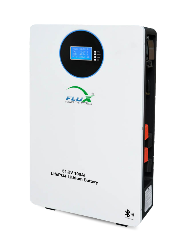 51.2V 100Ah LiFePO₄ Lithium Batteries