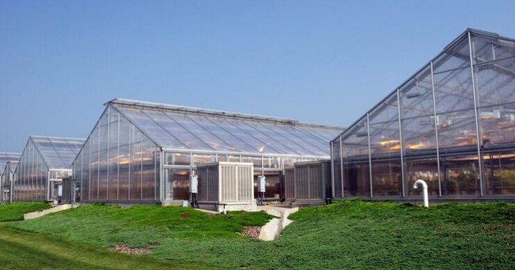 Green Houses reu4msufhpqu788kt4oa0ajbmj5skcnh2lhkw7ug8s